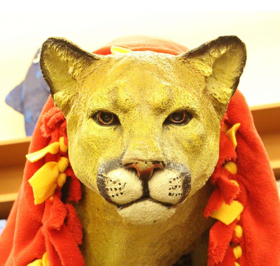 Roy the Cougar, dressed in cardinal and gold, can be found showing of his school spirit in the library.