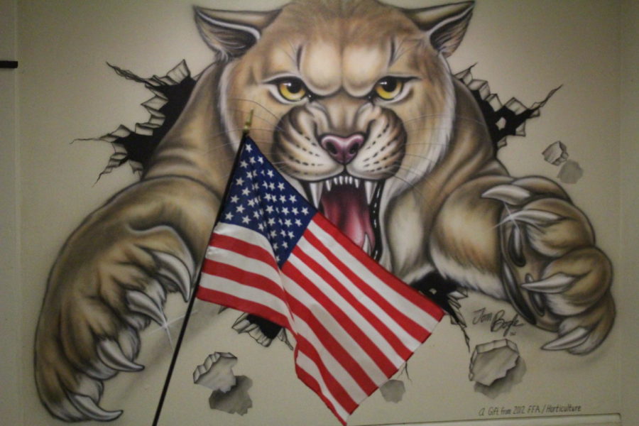 Cougar mascot with American flag