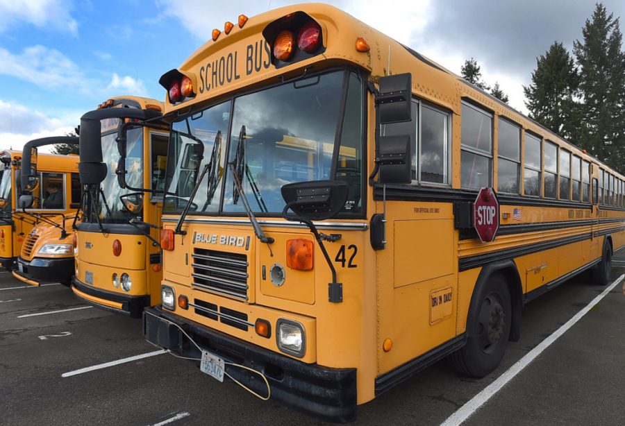 School buses rest in line at the North Thurston Public Schools service center as the district works to fill needed driver positions.