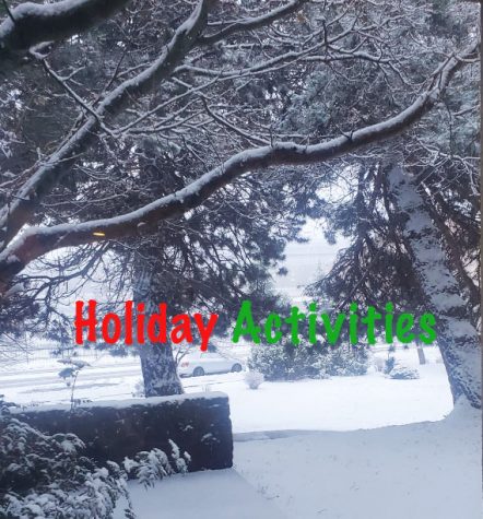 Top Five Winter/ Holiday Activities
