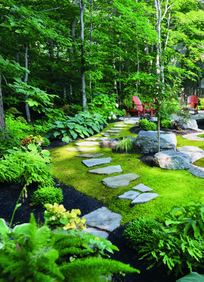Everything You Need to Know About Moss Lawns