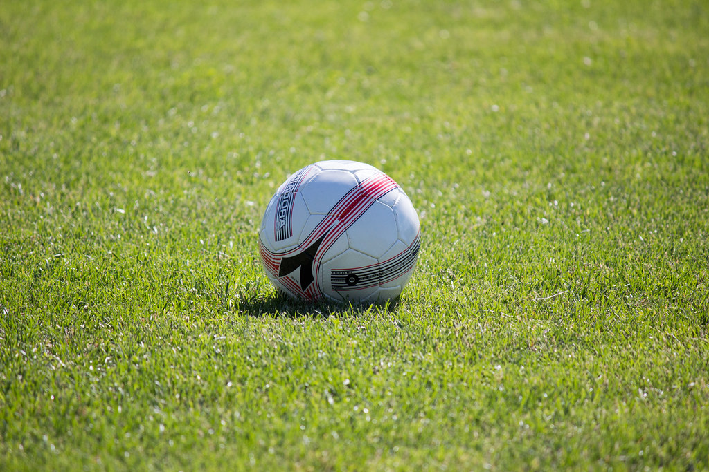 Soccer ball sitting on grass